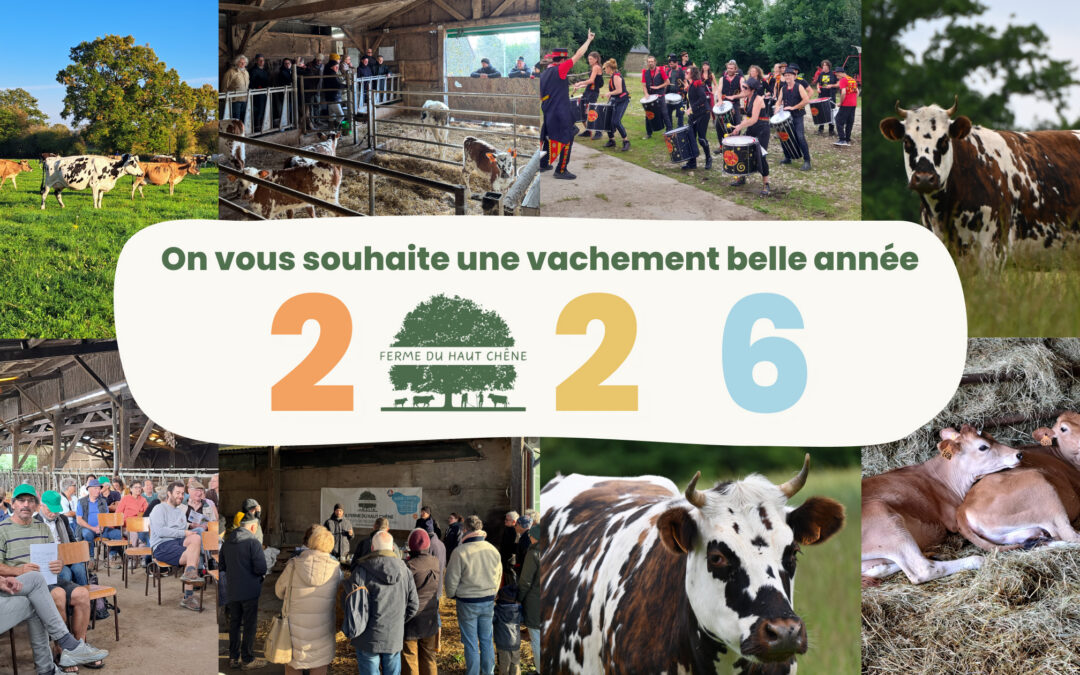 #9 – Vœux Janv 2026